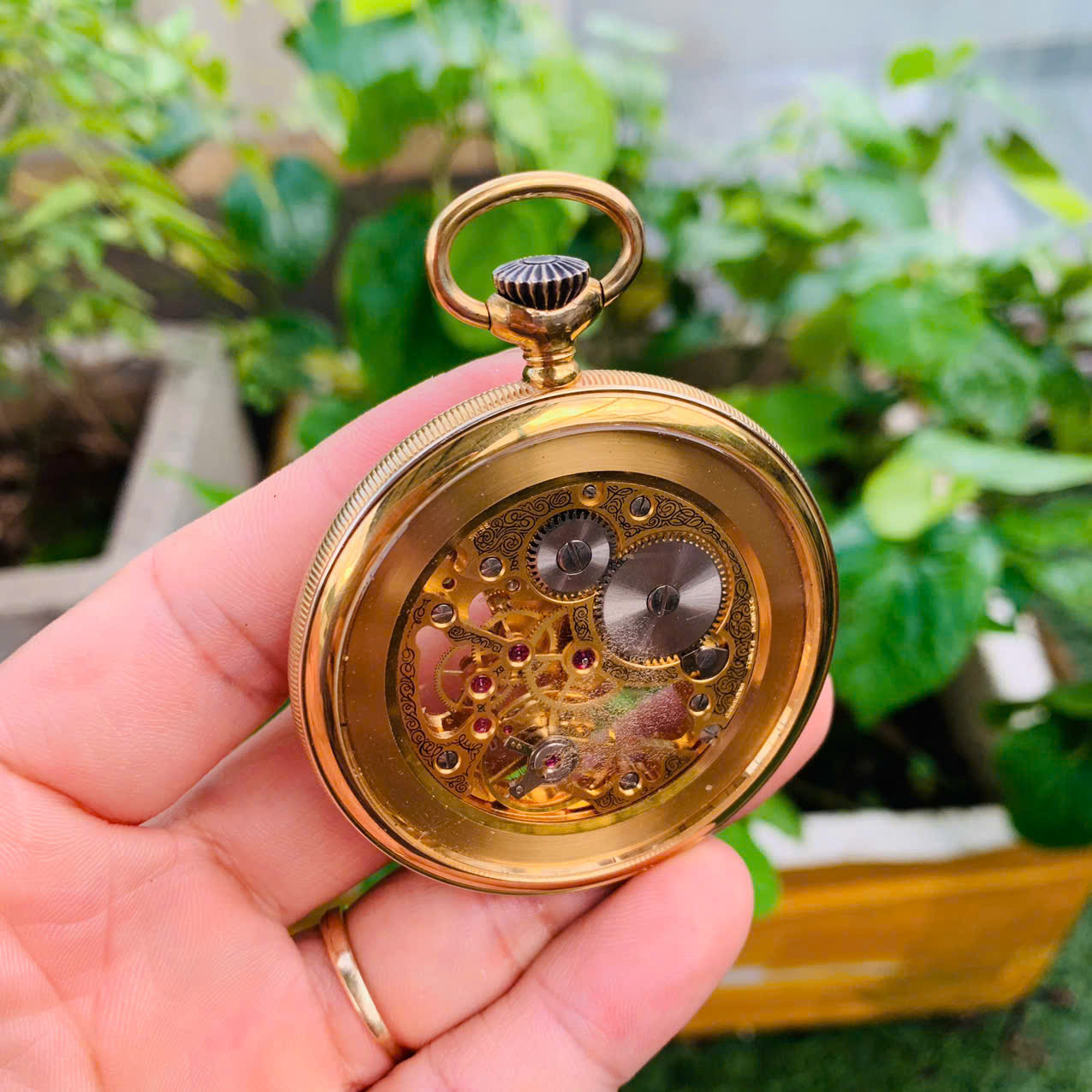 Đồng hồ quả quýt Roventa Henex Thụy Sĩ lộ cơ