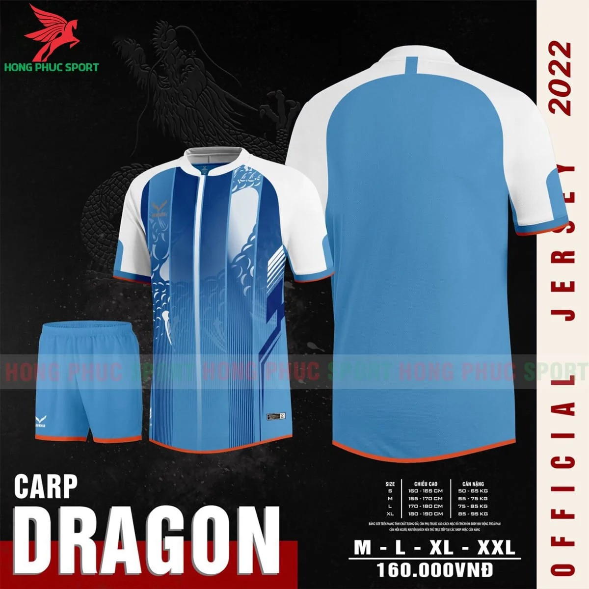 BỘ QUẦN ÁO BÓNG ĐÁ KHÔNG LOGO NIDU CARP DRAGON XANH DA TRỜI – HÀNG VIỆT NAM