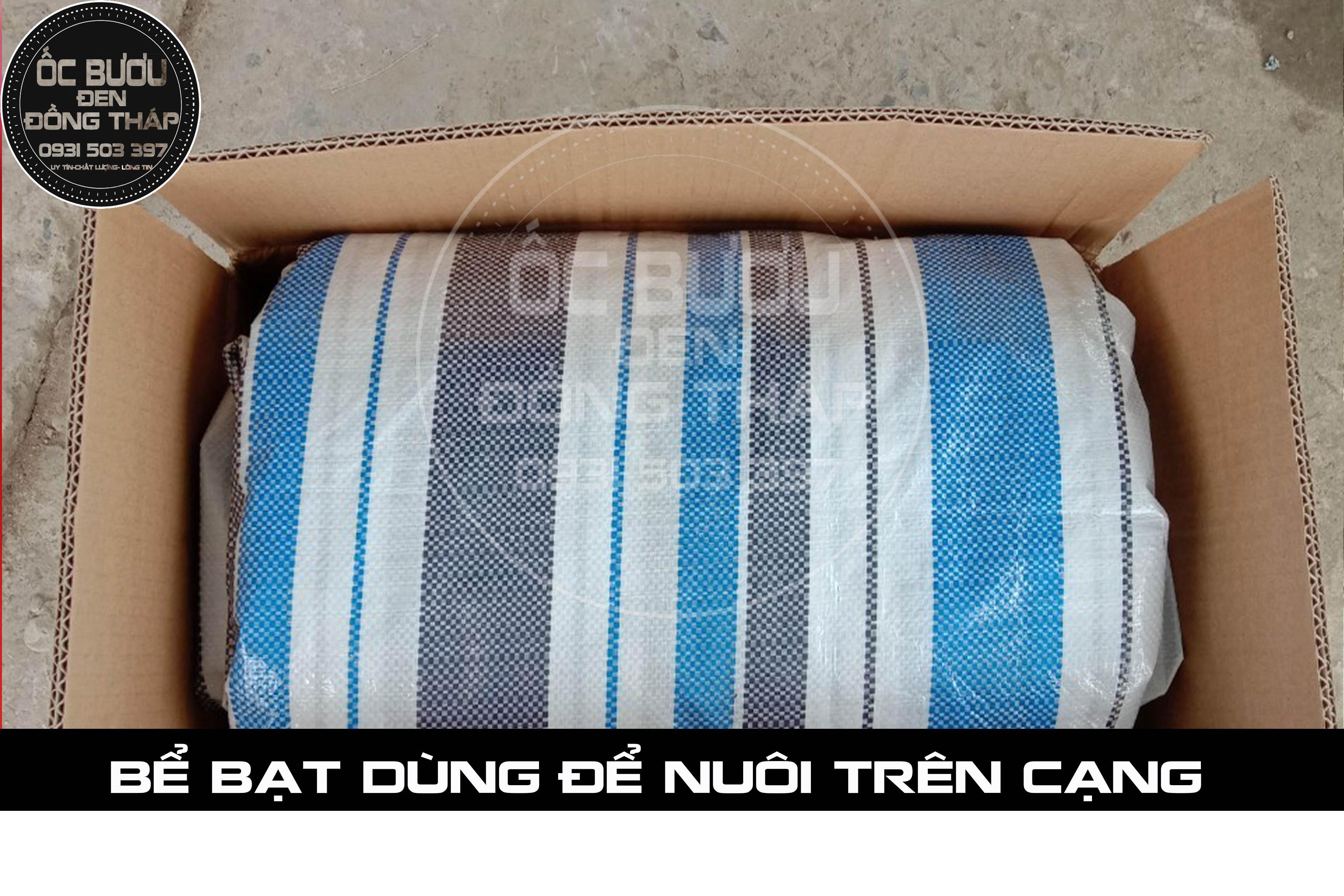 BỀ BẠT 4m x 6m x 1m ( Dài x Ngang x Cao)