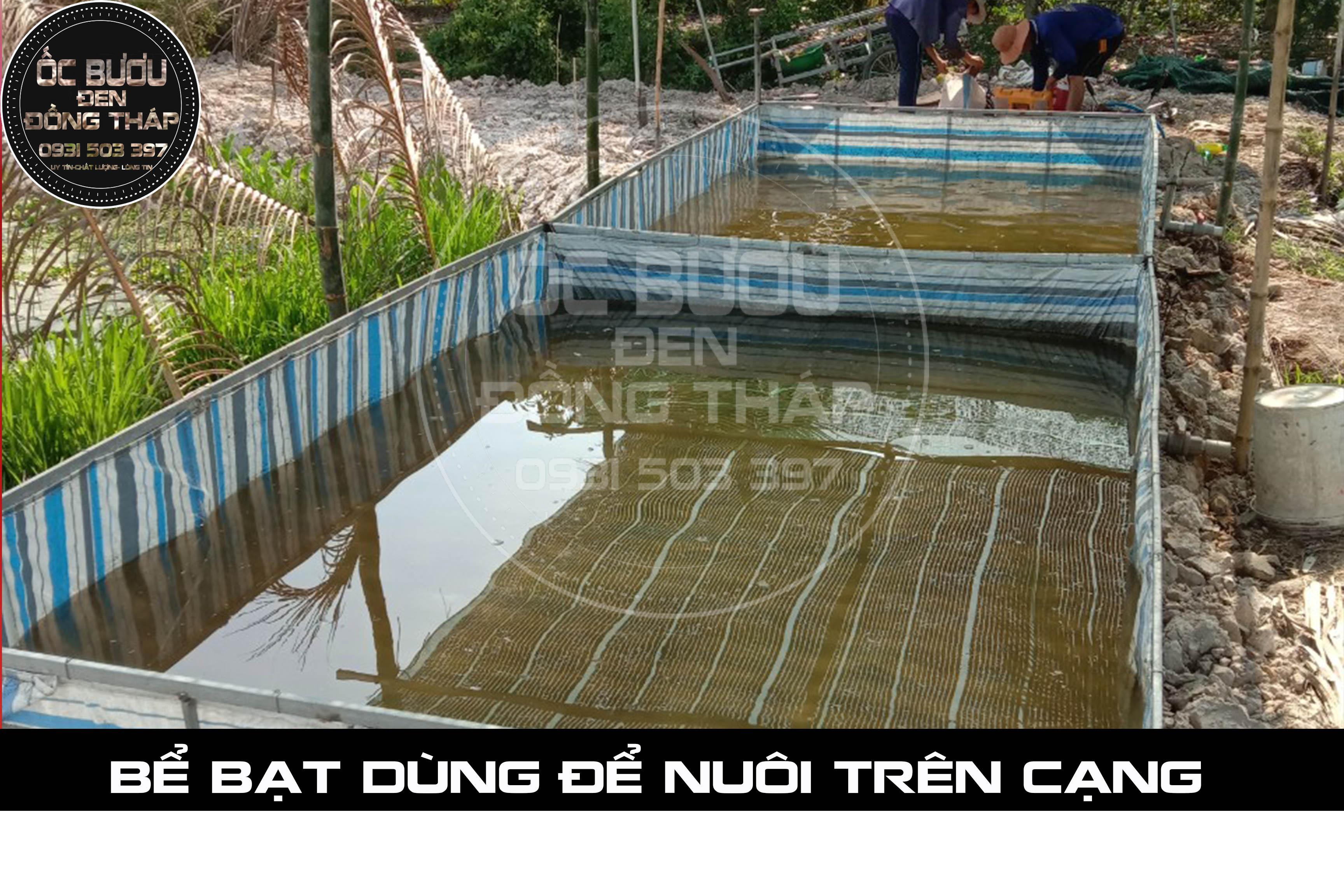 BỀ BẠT 4m x 6m x 1m ( Dài x Ngang x Cao)